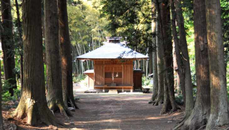 淡島神社全景です