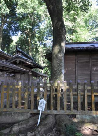 額田神社の真榊