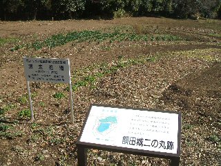 額田城跡の花壇