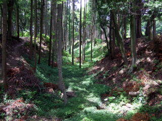 額田城の内堀