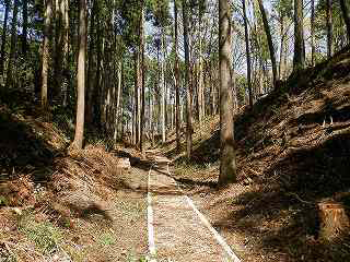 額田城　堀道